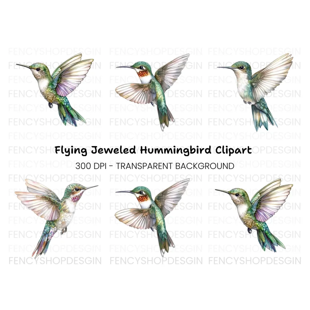 Hummingbird Clipart Bundle