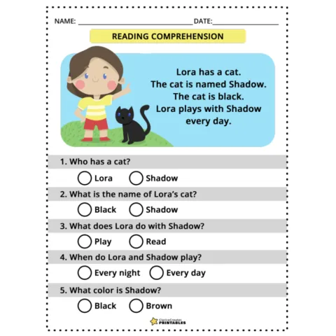 Color and Gender Reading Comprehension Worksheets