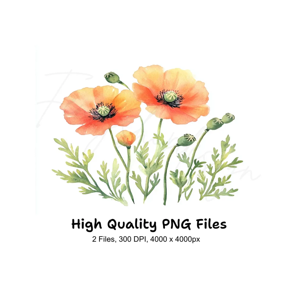 Vibrant Poppy Field Clipart Bundle