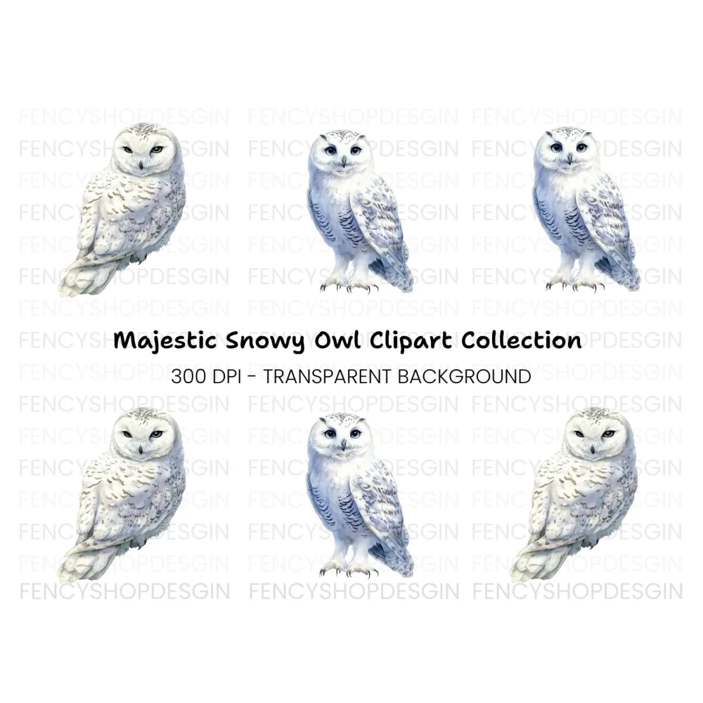 Snowy Owl Clipart Bundle