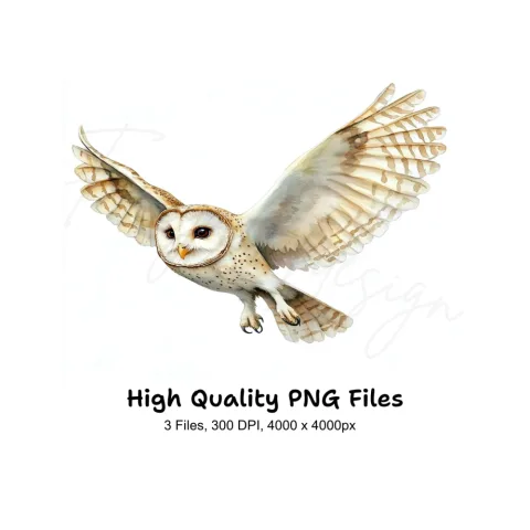 Barn Owl Flying Clipart Bundle