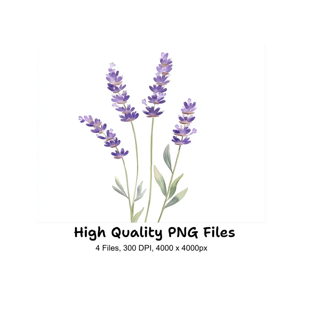 Lavender Clipart Bundle