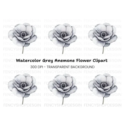 Anemone Clipart Bundle