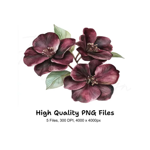 Dark Burgundy Flower Clipart Bundle