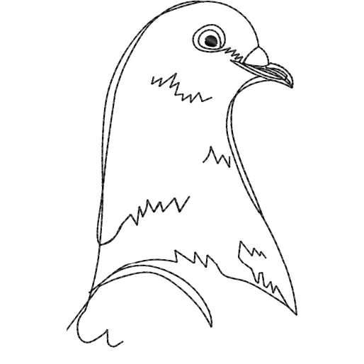 Pigeon Embroidery Design
