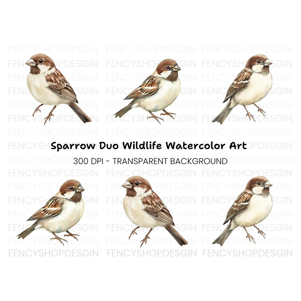 Sparrow Birds Clipart Bundle