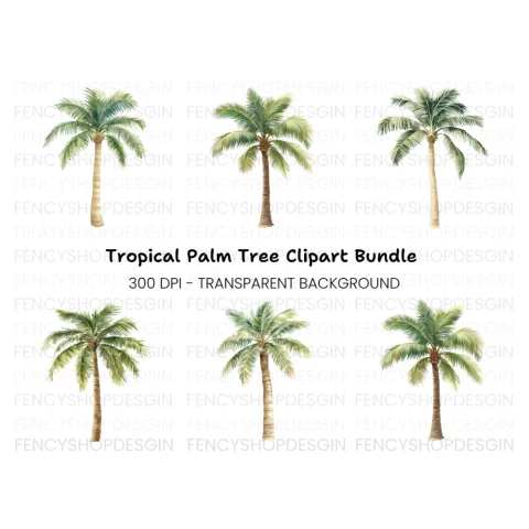 Palm Trees Clipart Bundle