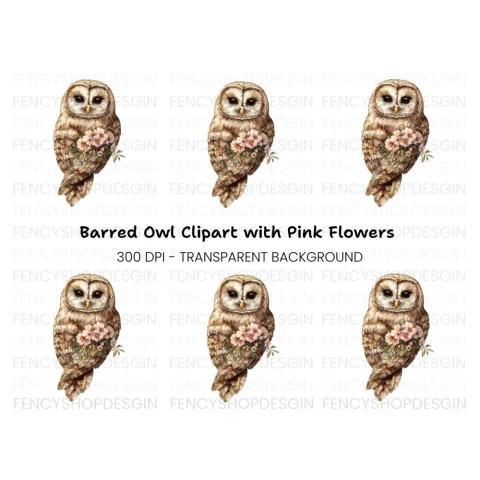 Elegant Barn Owl with Flowers Clipart Bundle