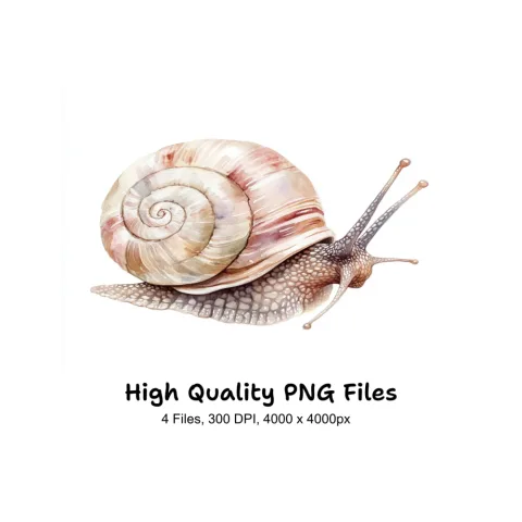 Snail Clipart Bundle