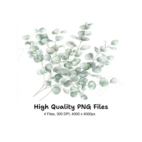 Delicate Eucalyptus Leaves Clipart Bundle