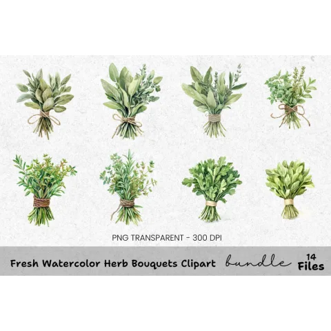 Fresh Herb Bouquets Clipart Bundle