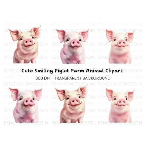 Cute Pig Faces Clipart Bundle