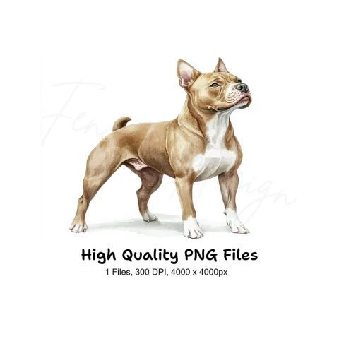 American Staffordshire Terrier Clipart Bundle