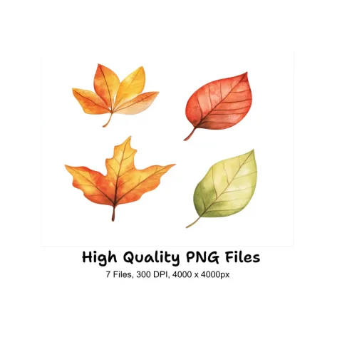 Autumn Leaves Clipart Bundle