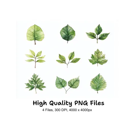 Diverse Green Leaves Clipart Bundle