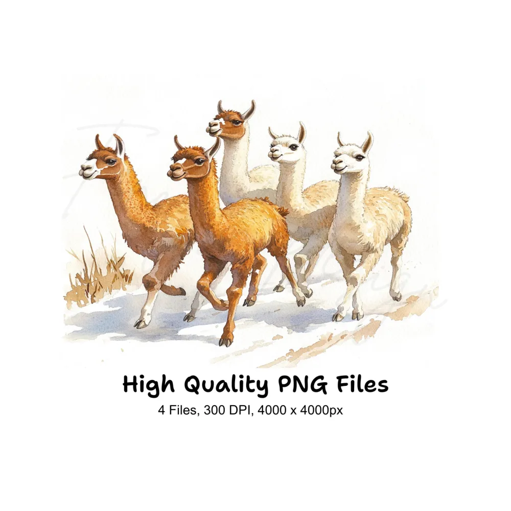 Llama Herd Clipart Bundle