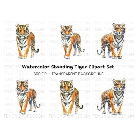 Majestic Tiger Clipart Bundle