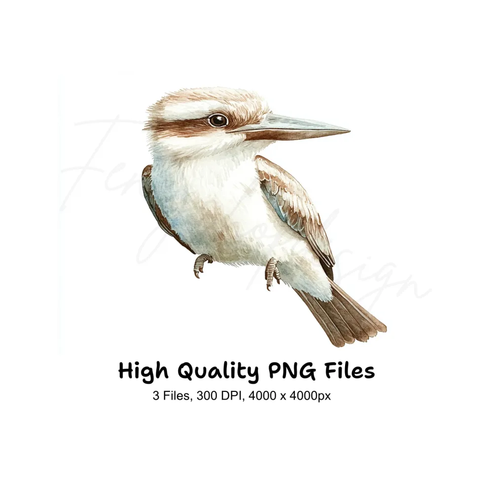 Cute Kookaburra Clipart Bundle
