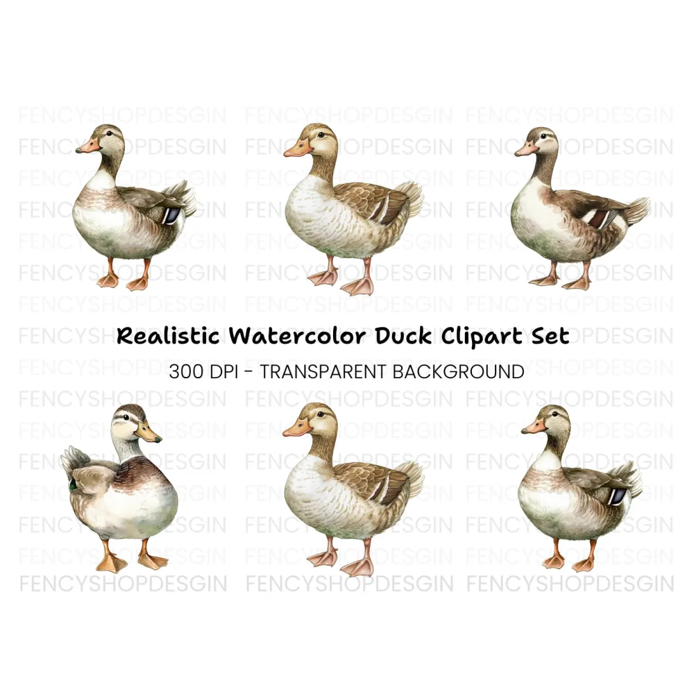 Cute Mallard Duck Clipart Bundle
