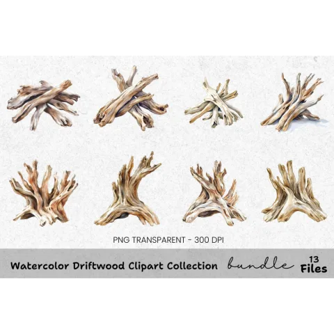 Driftwood Clipart Bundle