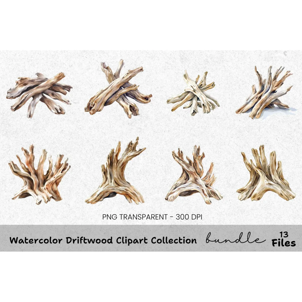 Driftwood Clipart Bundle