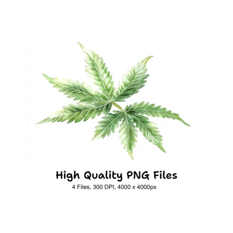 Vibrant Cannabis Leaf Clipart Bundle