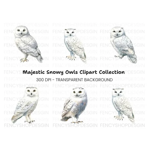 Elegant Snowy Owl Clipart Bundle