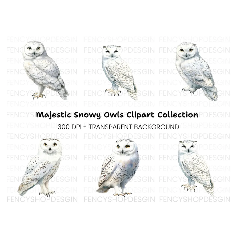 Elegant Snowy Owl Clipart Bundle