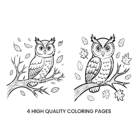 Wise Owl Autumn Leaves Coloring Books