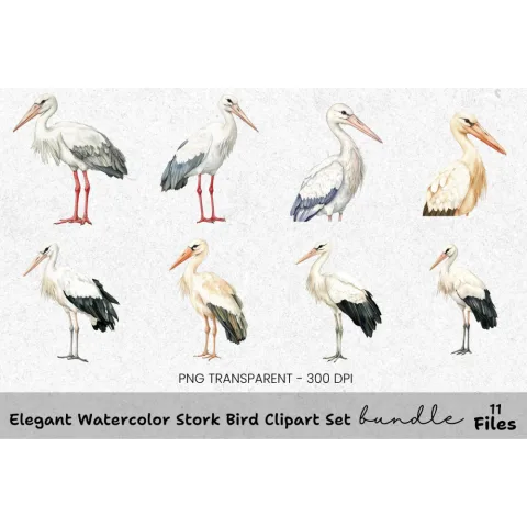 Elegant Stork Bird Clipart Bundle