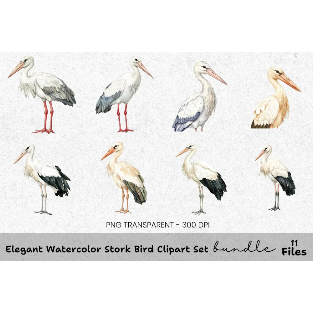 Elegant Stork Bird Clipart Bundle