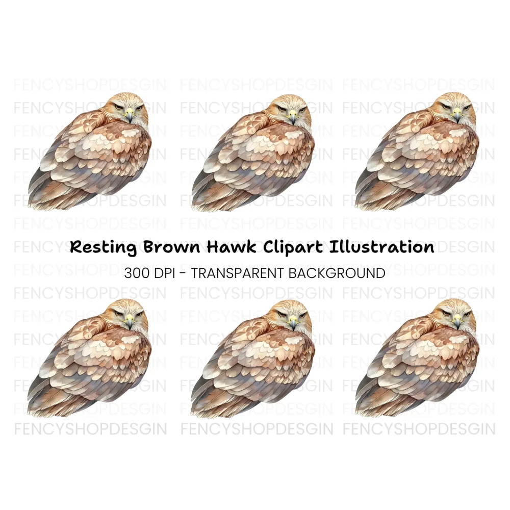 Fierce Hawk Illustration Clipart Bundle