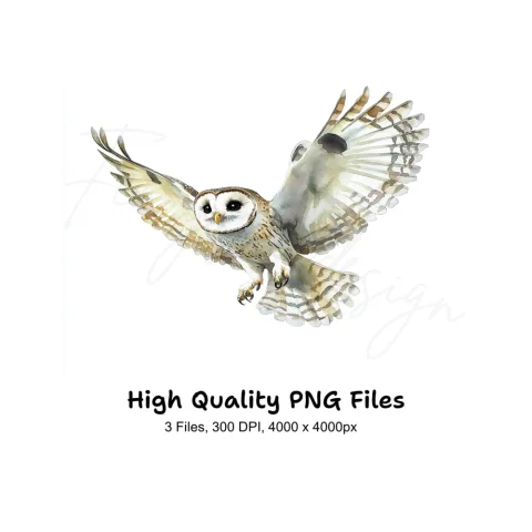 Graceful Flying Owl Clipart Bundle
