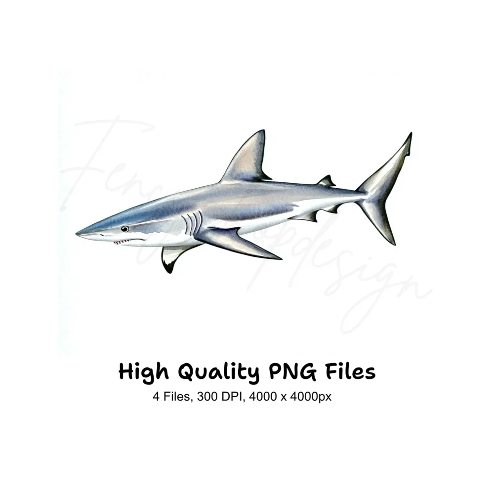 Great White Shark Clipart Bundle