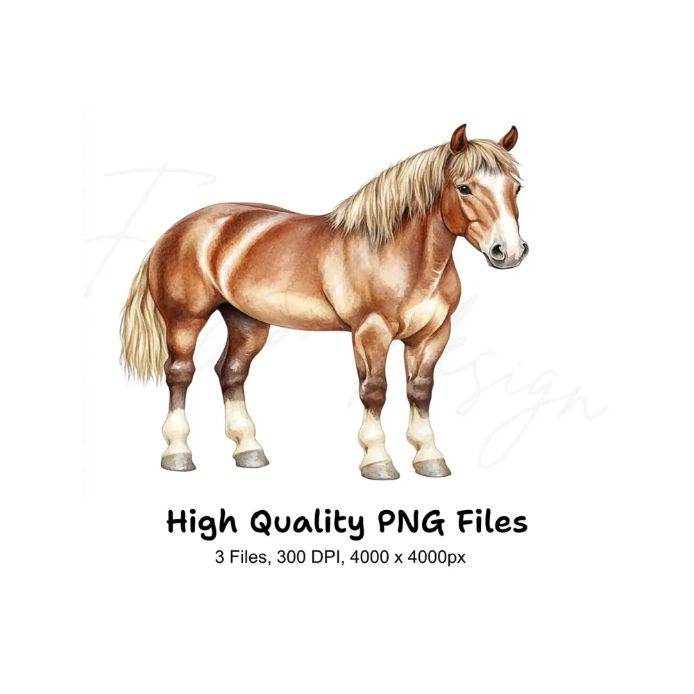 Horse Clipart Bundle