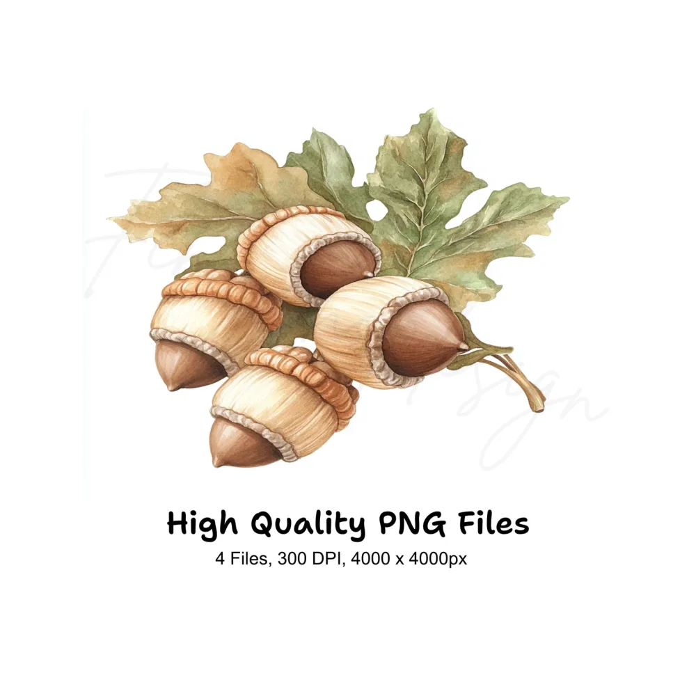 Acorn Oak Leaf Clipart Bundle