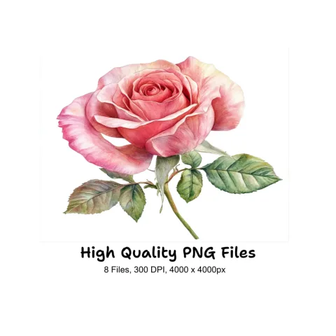 Elegant Pink Rose Clipart Bundle