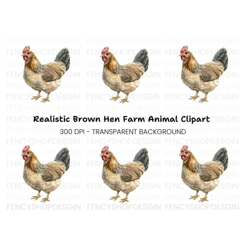 Chicken Illustration Clipart Bundle