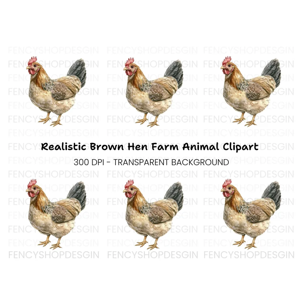 Chicken Illustration Clipart Bundle