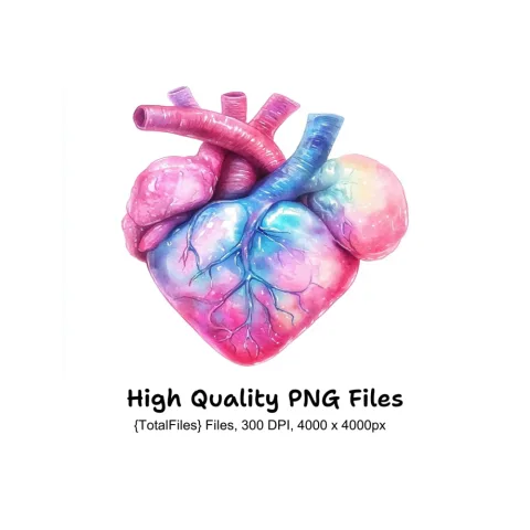 Anatomical Hearts Clipart Bundle