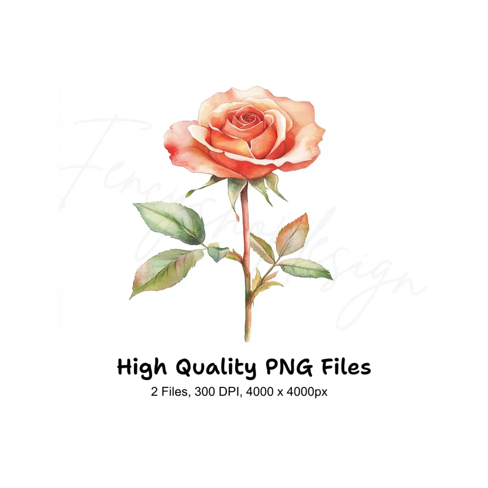 Peach Rose Clipart Bundle