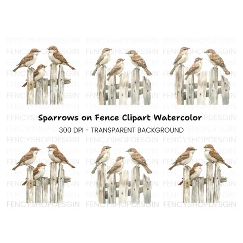 Sparrows on Rustic Fence Clipart Bundle