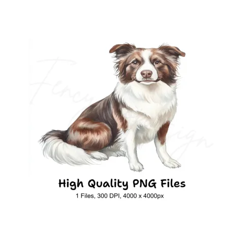 Border Collie Dog Illustration Clipart Bundle