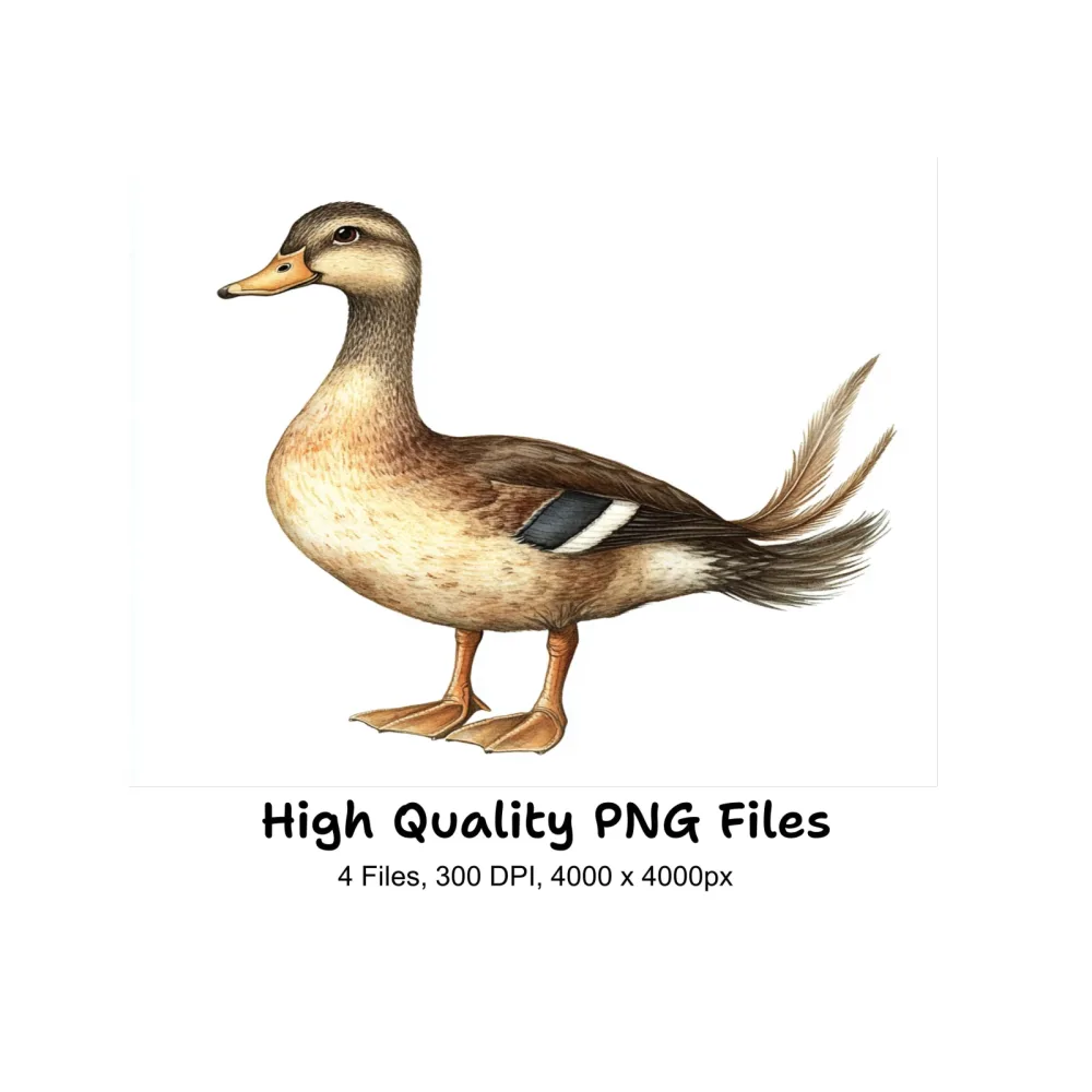 Cute Cartoon Duck Clipart Bundle