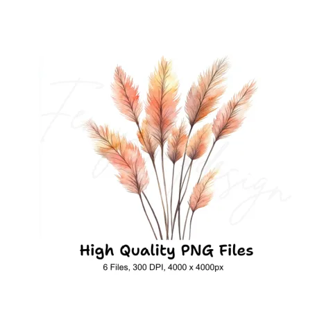 Pampas Grass Clipart Bundle