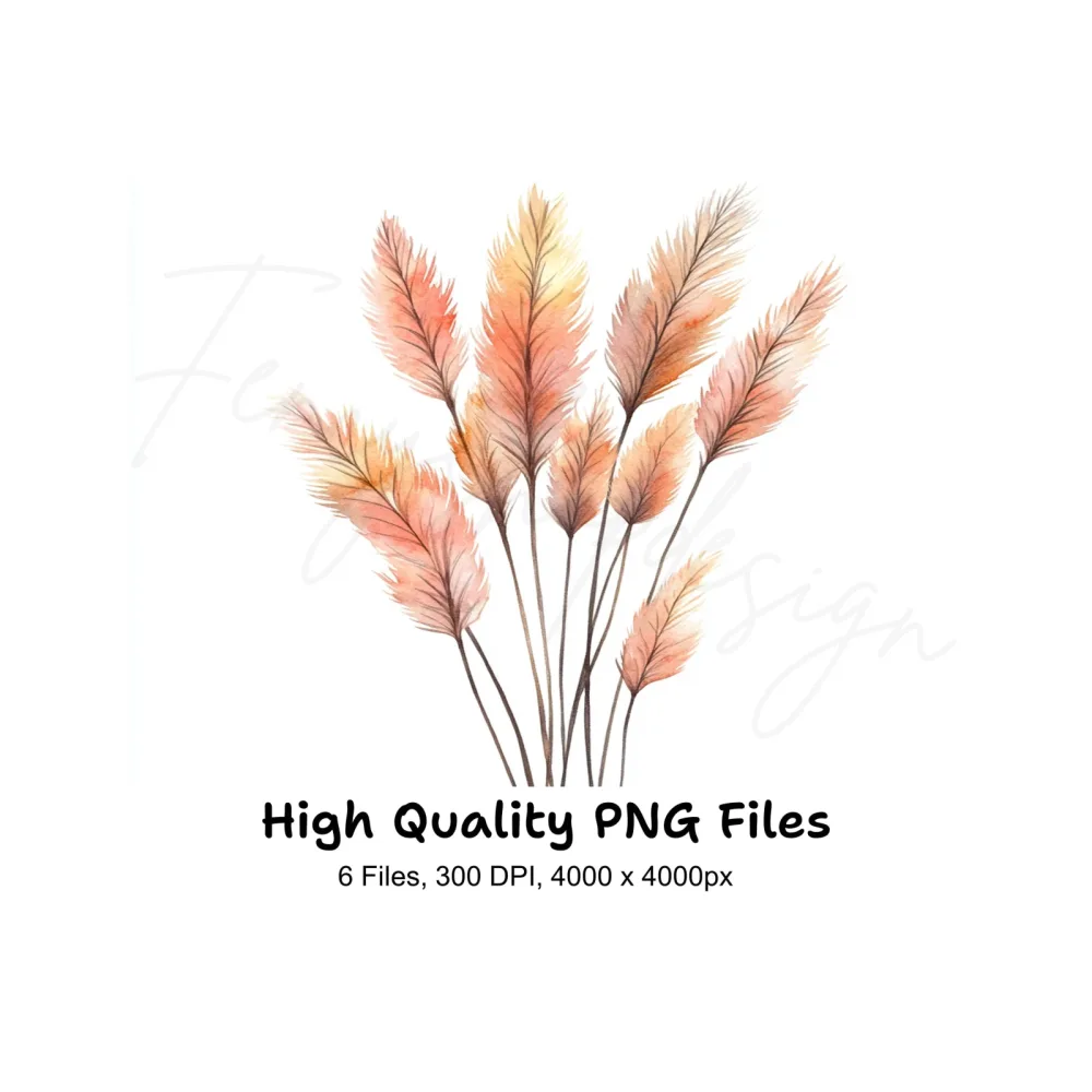 Pampas Grass Clipart Bundle