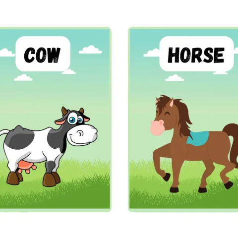 Farm Animals Flashcards for Kids