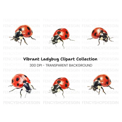Realistic Ladybug Clipart Bundle