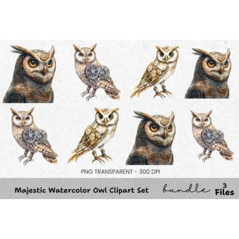 Majestic Owl Clipart Bundle