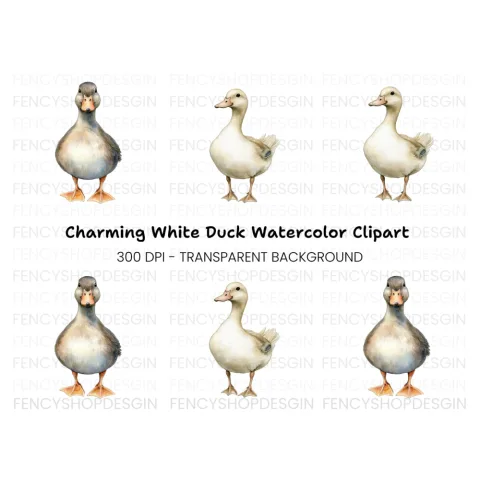 Cute Duck Clipart Bundle